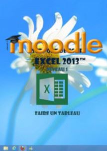 (imagepour) cours moodle Excel 2013 1er niveau initiation