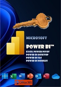 Cours en ligne PowerBi (imagepour) Cours en ligne PowerBi